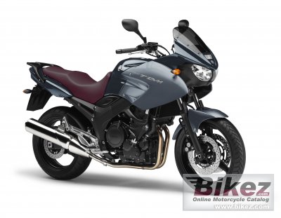 2012 Yamaha TDM 900 photo
